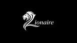 Translation missing: en.Lionaire.pk accessibility.home